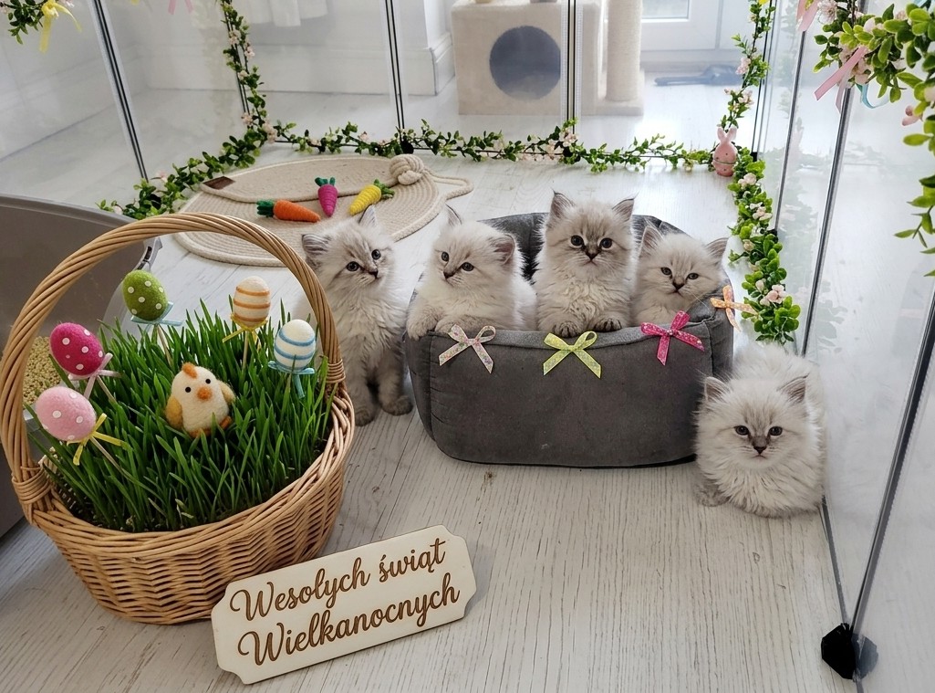 Wesołych Świąt Wielkanocnych!